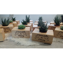 Cube bois personnalisée au laser Avec Plante Grasse